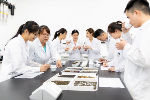 用科技支撐靈感 喜茶首創(chuàng)行業(yè)專業(yè)食品營養(yǎng)與科學(xué)研究科技信息咨詢服務(wù)